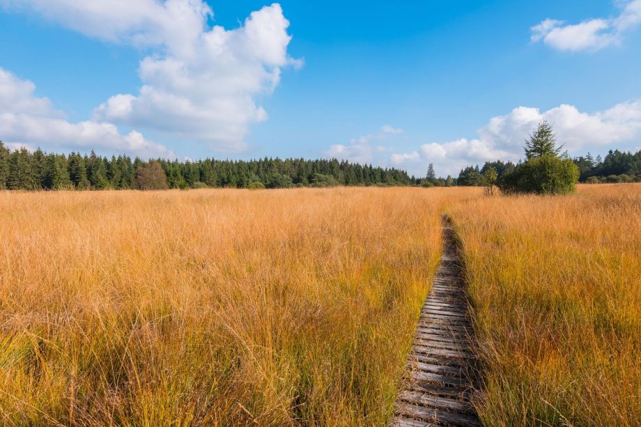 Gîte les Pierris à Francorchamps Fagnes de Malchamps